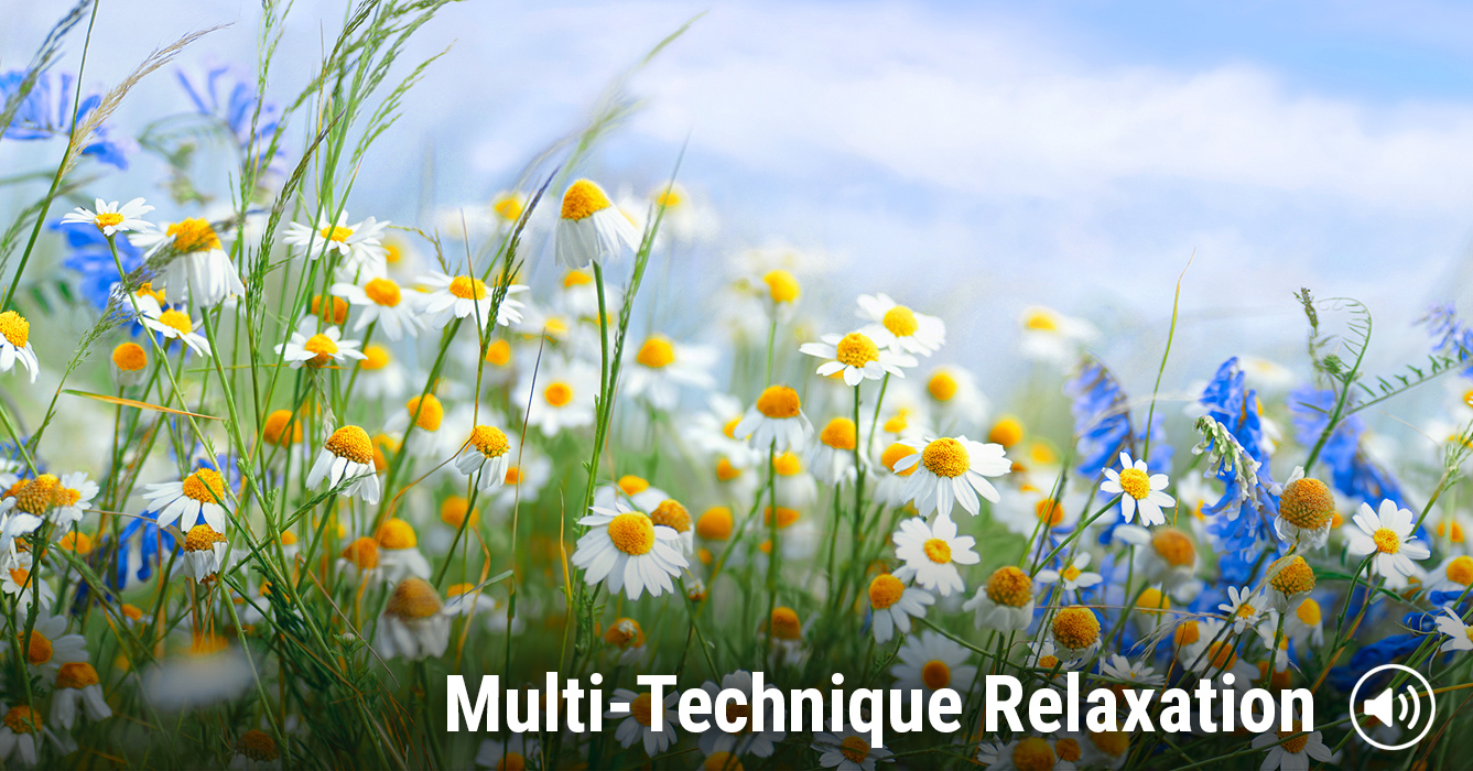 Multi-Technique Relaxation: Guided audio activity | Interactive | Therapist Aid