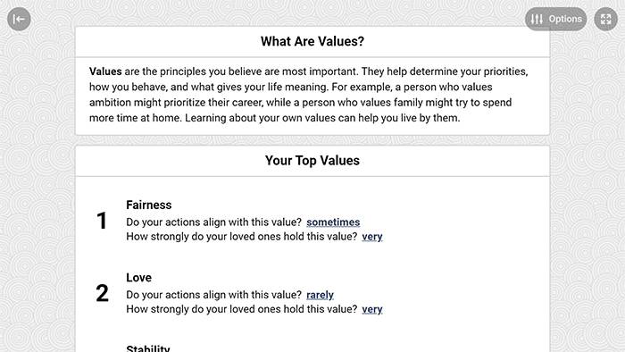 Values Assessment Tool Preview 4