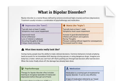 Bipolar Disorder Info Sheet